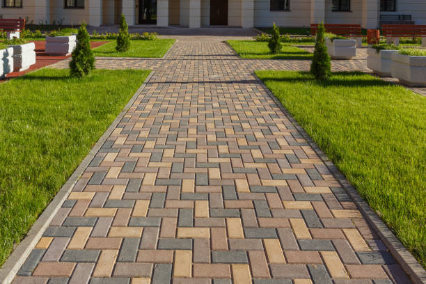 Best Driveway Paving Company  in Chadbourn, NC